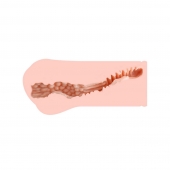 Мастурбатор-вагина Monica без вибрации - KOKOS - в Благовещенске купить с доставкой