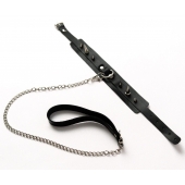 Черный ошейник с шипами и поводком - Crazy Handmade - купить с доставкой в Благовещенске