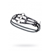 Черный кожаный пояс с кольцами - Pecado - купить с доставкой в Благовещенске