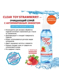 Очищающий спрей для игрушек CLEAR TOY Strawberry - 100 мл. - Биоритм - купить с доставкой в Благовещенске