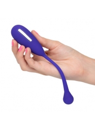 Фиолетовый шарик с электростимуляцией и вибрацией Intimate E-Stimulator Remote Kegel Exerciser - California Exotic Novelties - купить с доставкой в Благовещенске