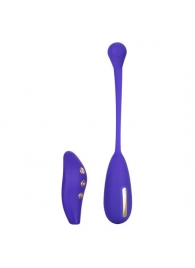 Фиолетовый шарик с электростимуляцией и вибрацией Intimate E-Stimulator Remote Kegel Exerciser - California Exotic Novelties - купить с доставкой в Благовещенске