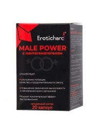 Капсулы для мужчин Erotichard male power с пантогематогеном - 20 капсул (0,370 гр.) - Erotic Hard - купить с доставкой в Благовещенске