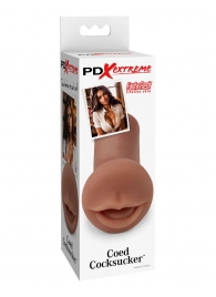 Мастурбатор-ротик Coed Cocksucker - Pipedream - в Благовещенске купить с доставкой