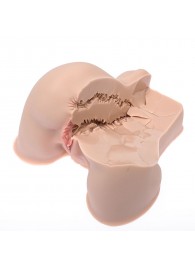 Мастурбатор-полуторс Naked Factory Kate - Naked Factory - в Благовещенске купить с доставкой