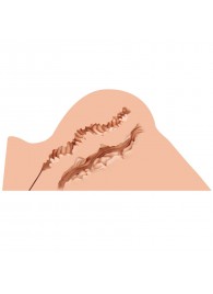 Мастурбатор-полуторс Naked Factory Hannah - Naked Factory - в Благовещенске купить с доставкой