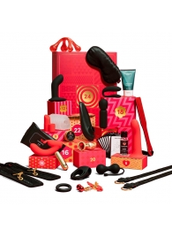 Адвент-календарь Lovehoney Couple’s Advent Calendar 2025 - We-vibe - купить с доставкой в Благовещенске