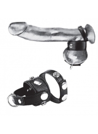 Утяжка для мошонки и пениса Cock Ring With 1  Ball Stretcher And Optional Weight Ring - BlueLine - купить с доставкой в Благовещенске