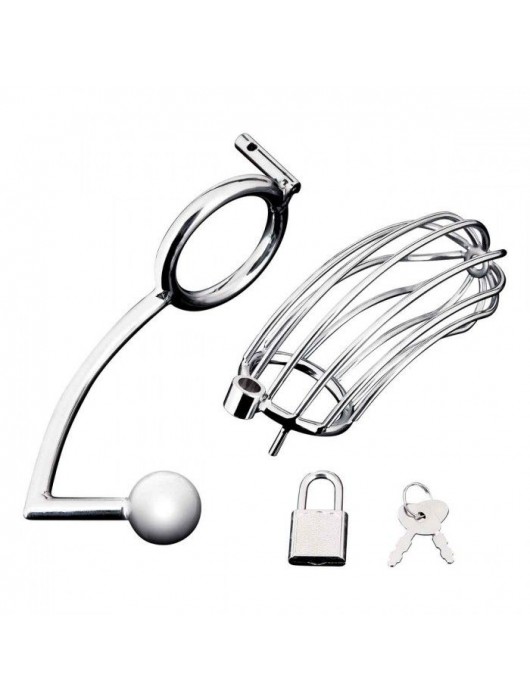 Серебристая металлическая клетка с анальным стимулятором Cock Cage - BlueLine - купить с доставкой в Благовещенске