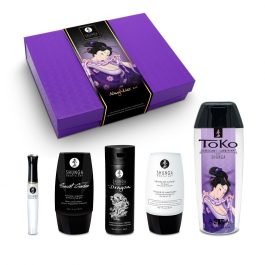 Подарочный набор Naughter Kit - Shunga - купить с доставкой в Благовещенске