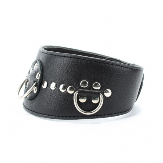 Чёрный кожаный ошейник с полукольцами и клёпками - БДСМ Арсенал - купить с доставкой в Благовещенске