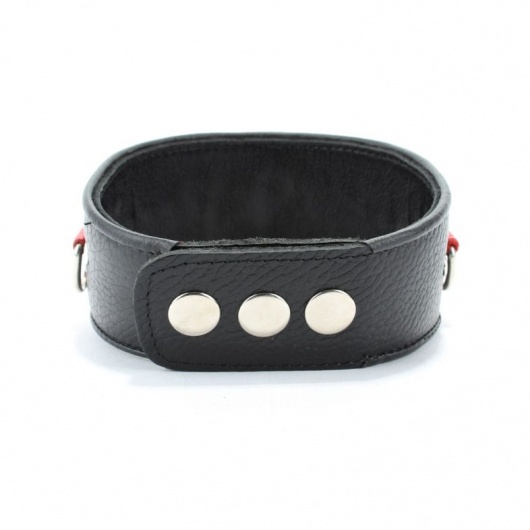 Кожаный ошейник с металлическими клепками - БДСМ Арсенал - купить с доставкой в Благовещенске