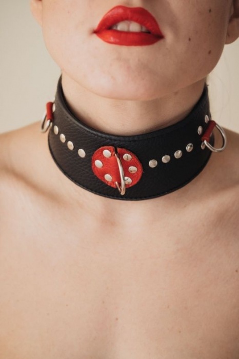 Кожаный ошейник с металлическими клепками - БДСМ Арсенал - купить с доставкой в Благовещенске