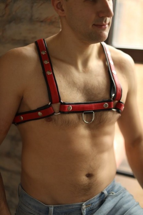 Черно-красная мужская портупея Black-Red - БДСМ Арсенал - купить с доставкой в Благовещенске