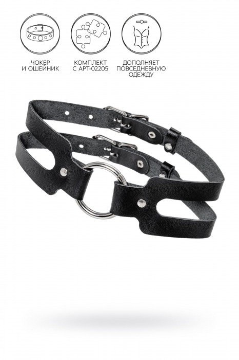Черный кожаный чокер-ошейник из двух ремешков - Pecado - купить с доставкой в Благовещенске