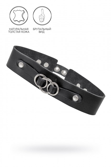 Черный чокер-ошейник со связанными кольцами на подложке - Pecado - купить с доставкой в Благовещенске