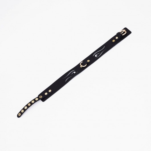 Черный кожаный ошейник с золотистой фурнитурой - Crazy Handmade - купить с доставкой в Благовещенске