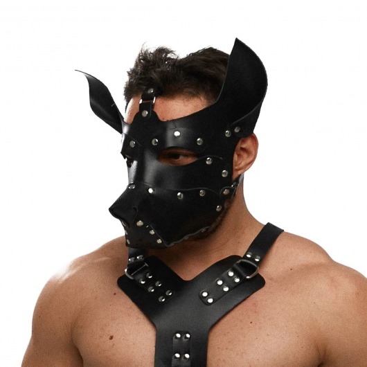 Черная кожаная маска «Собака» - Crazy Handmade - купить с доставкой в Благовещенске
