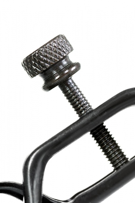 Черно-золотистые зажимы для сосков TOYFA Theatre - ToyFa - купить с доставкой в Благовещенске