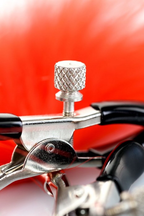 Зажимы для сосков с красным пухом Theatre - ToyFa - купить с доставкой в Благовещенске